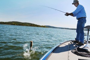 Table Rock Fishing Guide
